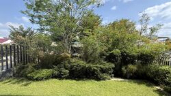 Seaside Park (D15), Semi-Detached #574173491